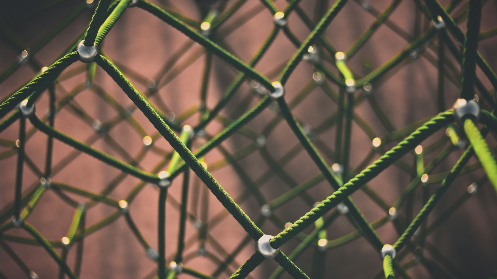 Photo by Clint Adair at Unsplash